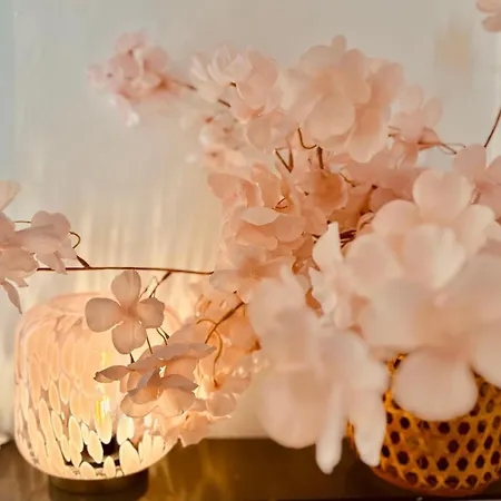 Centre-ville, 2 Bedrooms 6 Pers, Climatisation Daire Antibes