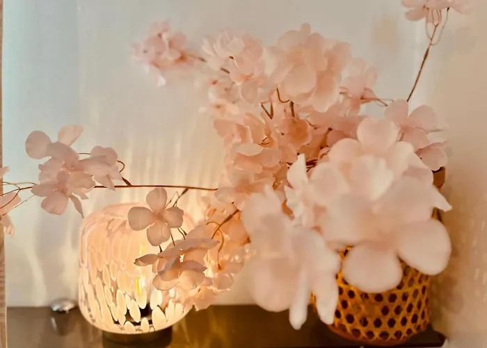 Centre-ville, 2 Bedrooms 6 Pers, Climatisation Daire Antibes