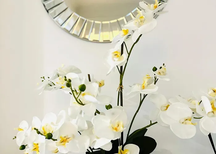 Centre-ville, 2 Bedrooms 6 Pers, Climatisation Daire